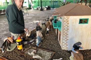 Telde prende la Navidad (Foto TA y Francisco Javier Santana)